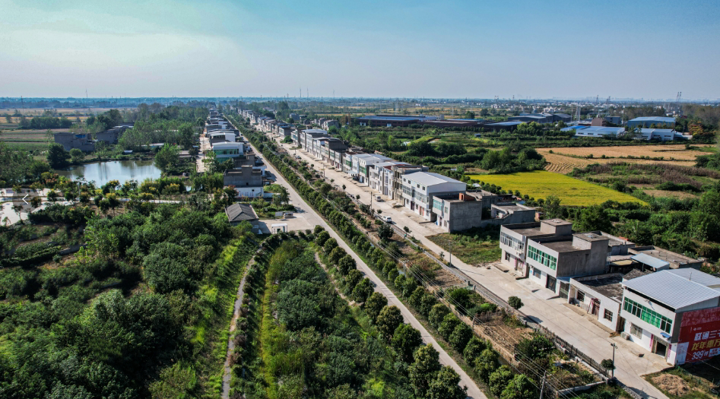 横林镇：推进土地流转，助力乡村振兴