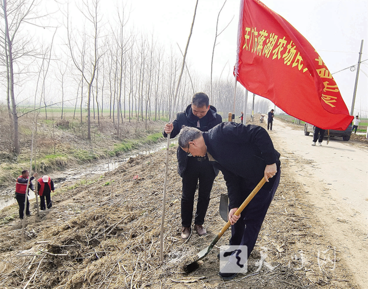 为春天添新绿