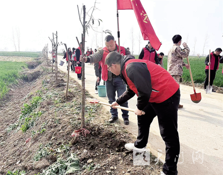 共植绿色家园